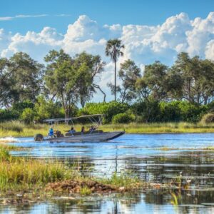 Explore the vibrant town of Maun set on the banks of Thamalakane River
