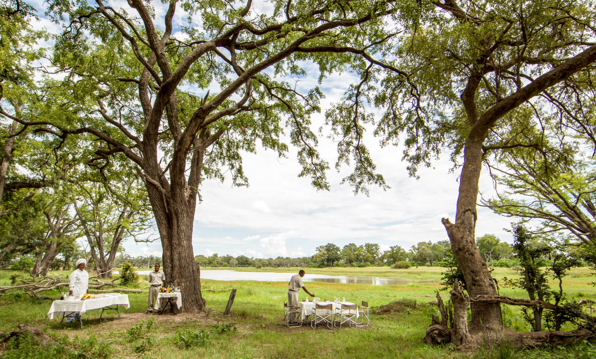 Making your dreams come true with a wilderness safari into the African wild