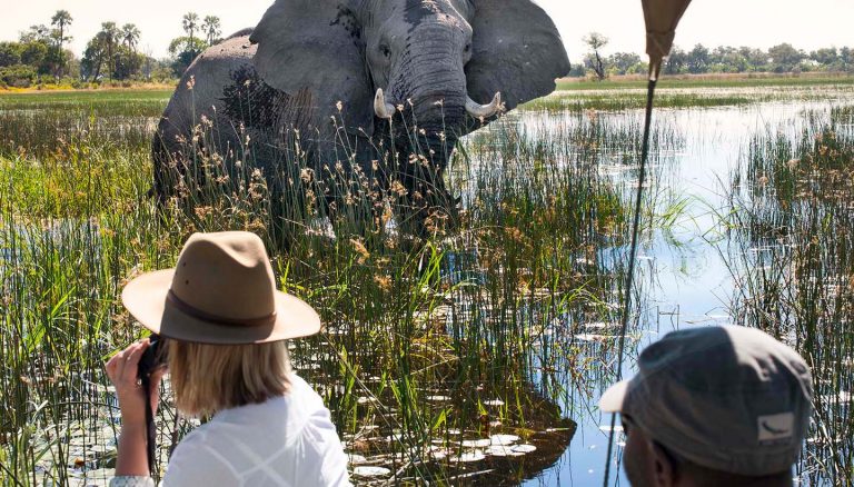 Once transferred from the airport the day is yours to explore the banks of the beautiful Thamalakane River