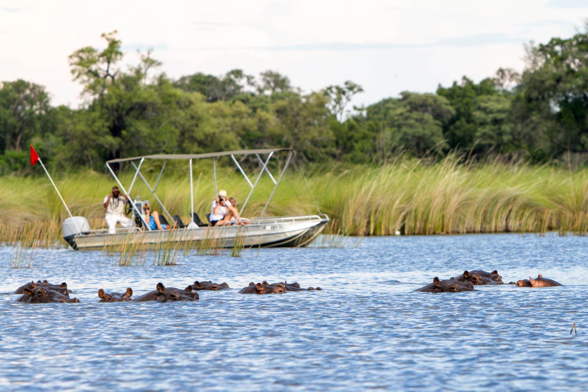 Safaris in the Okavango Delta and Moremi with an African Hideaways Group Tour