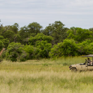 Stay in the bush on your first Kruger experience