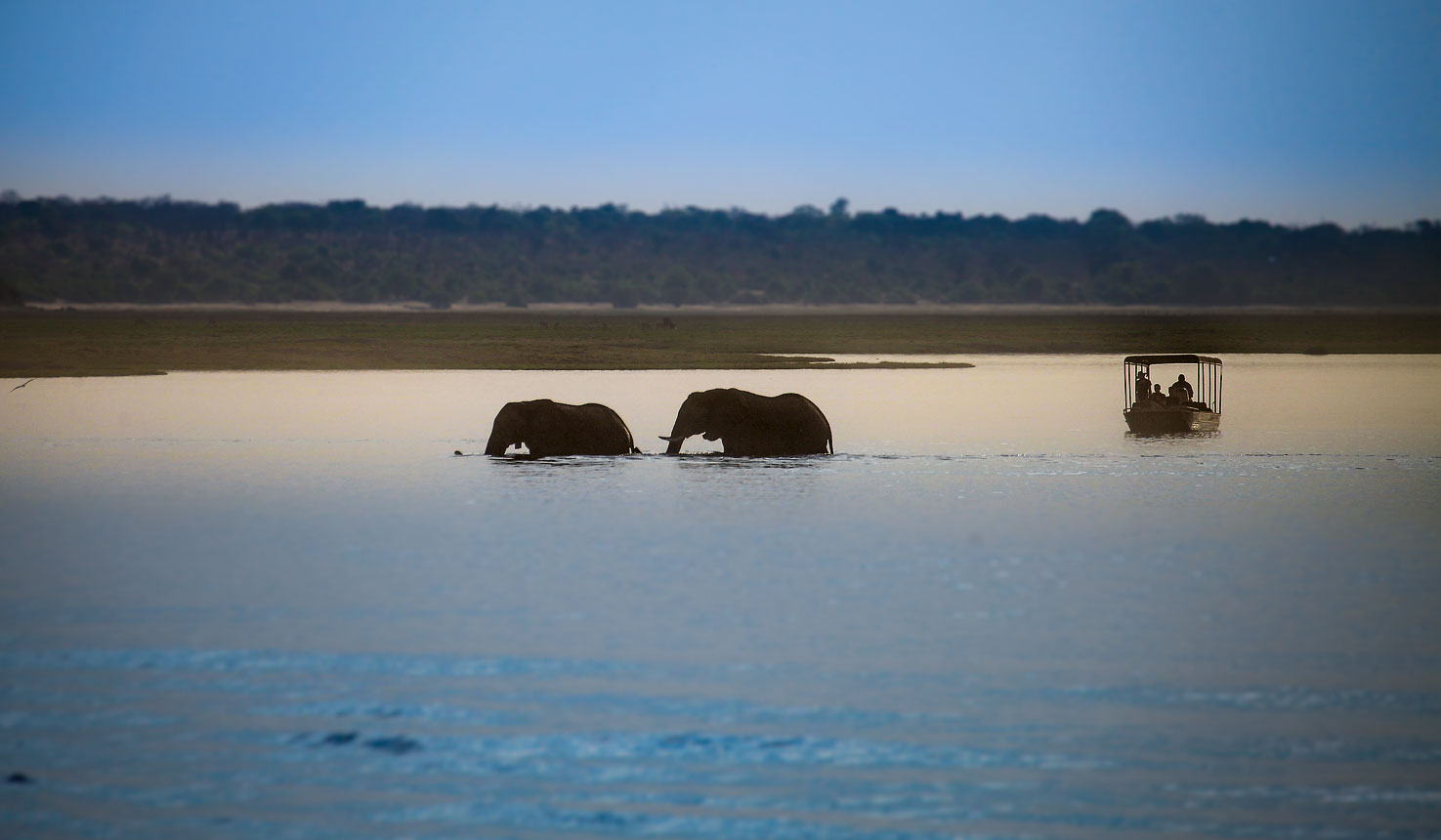 Take a sunset cruise down the Chobe River, or take a day trip to the breath-taking Victoria Falls on this magical holiday trip