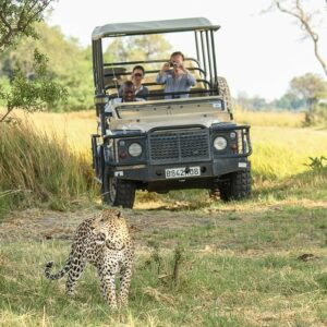 The best time for sight-seeing is in the morning and evening which gives you time to relax at camp during the day when the temperature is at its hottest