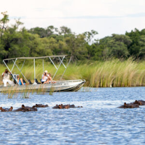 When visiting the game reserve, you will be sure to capture some amazing shots of all the wildlife you will get to see on this safari adventure