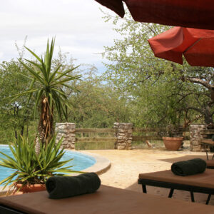 Get to see animals such as black rhino, elephants, lions and other big cats and predators at an affordable rate on a variety of different safari packages