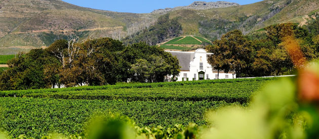 Cape Town houtbay groot constantie lunch wine estate cape dutch