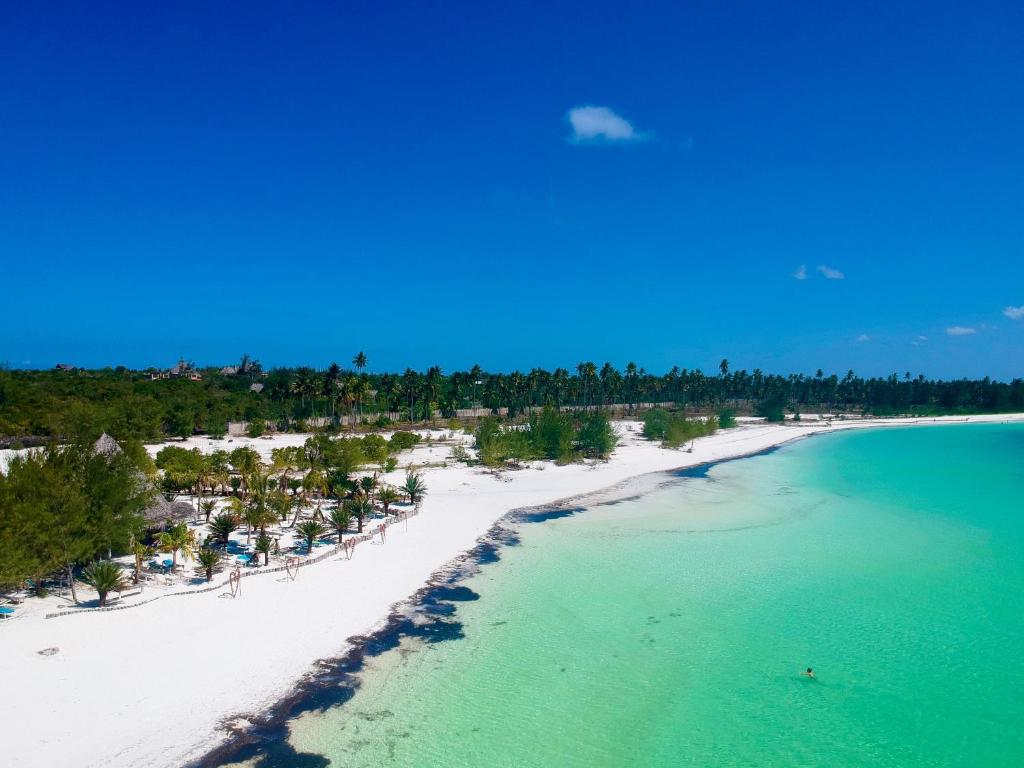 Dhow Boat sail sailing zanzibar tanzania island islet island tropical sun conservation amazing sun sea ocean fish barbeque lunch snorkeling white sand