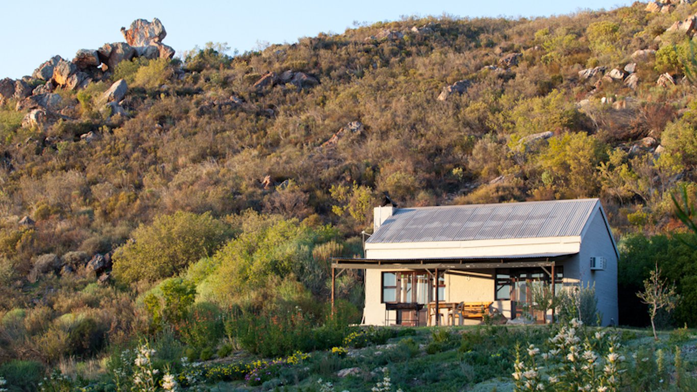 Cederberg South Africa Rooibos Farm Authentic Life Local off the beaten track stay accommodation culture flower season cottage local culture farm-stay