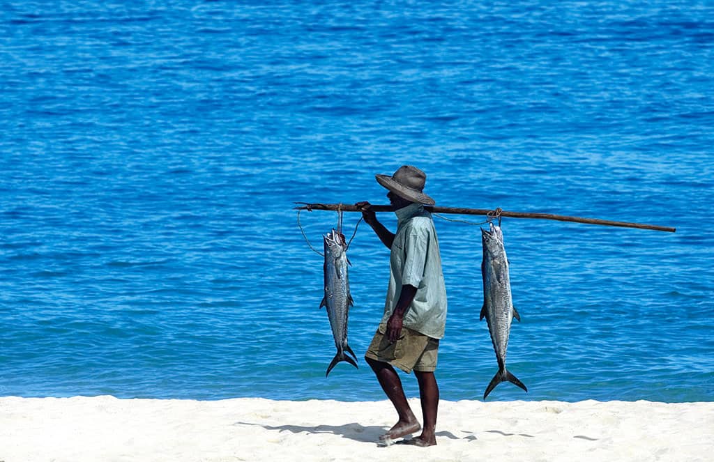 Mauritius fishermen fresh fish local culture