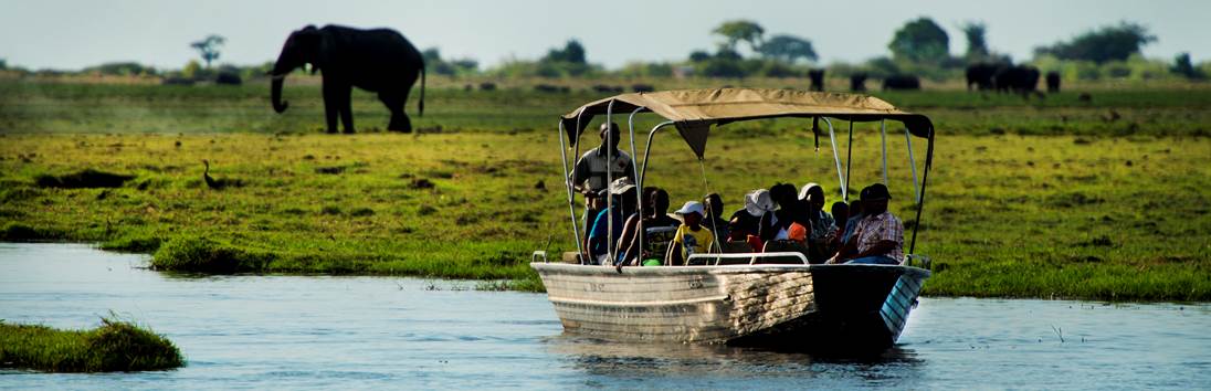Get up close with the big 5 and experience everything under the African sun when on safari in Botswana