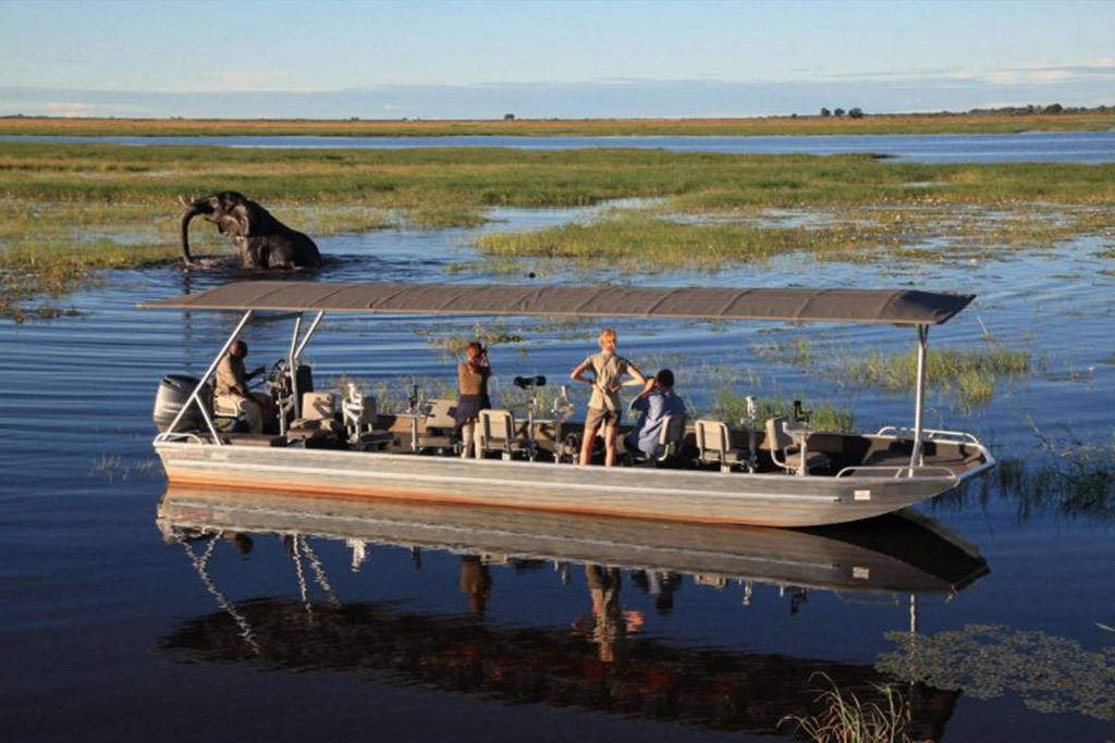 A photography trip that will teach you all about nature and wildlife