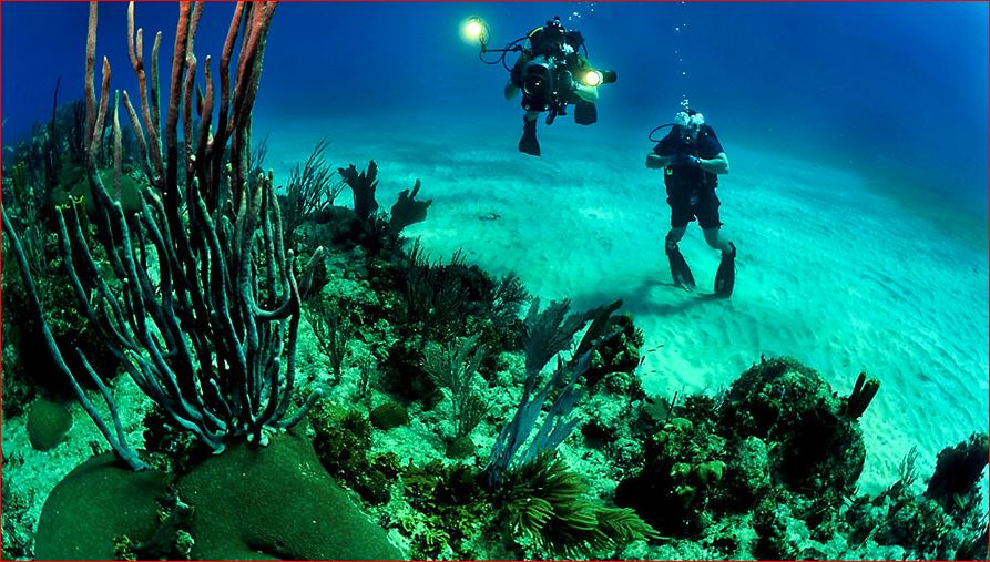 This is the perfect destination to experience a little of everything mountain climbing or water sports