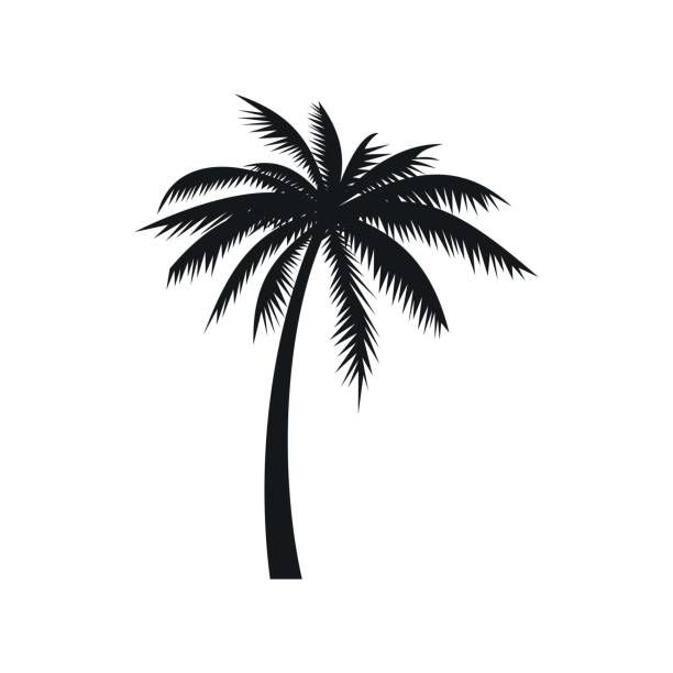 Island Vibes