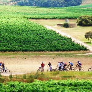 A 2-night stay in Franshoek where you get to wine and dine with the locals