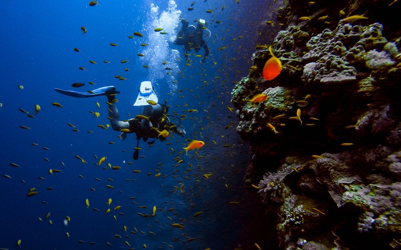 A tropical holiday experience that include activities such as water sports and diving