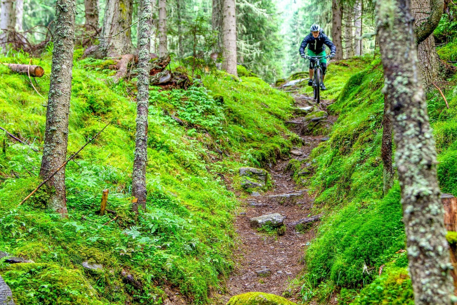 Jonkershoek Nature Reserve ride through the mountain trails and enjoy the greenery that you are surrounded by on this trip