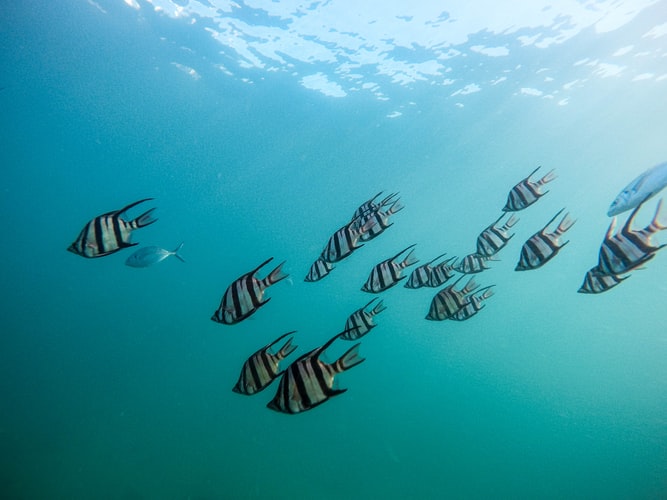 Tailor made holiday packages that’s perfect for you