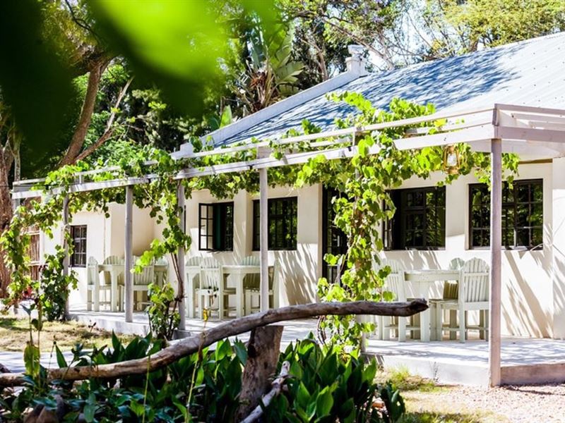 African safari packages and tours that are perfect for a honeymoon or family vacation
