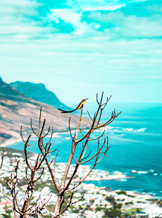 Explore eSwatini and South African beaches with an African Hideaways Group tour