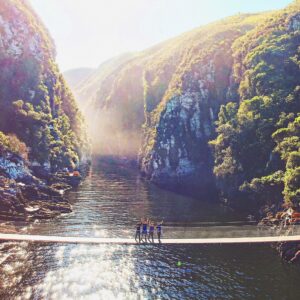 Enjoy a scenic route that includes beautiful stretches of coastline that is packed with beaches and forested reserves