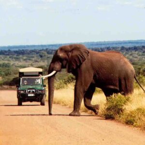 Enjoy the Hippos and wetlands with a 2night stay in St Lucia