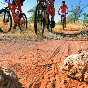 Jump on a mountain bike and take a drive to discover the surroundings and get to spot wildlife on this safari trip