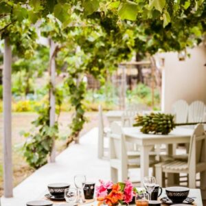 Plants flowers and trees and voted as one of the top 3 places to be it makes for the perfect holiday accommodation