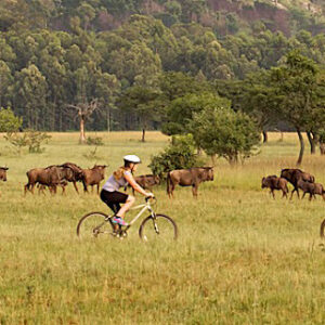 Stretch your legs doing a mountainbike ride through Mlilwane Wildlife Sanctuary while on vacay in eSwatini